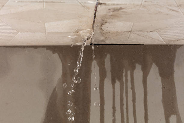 Professional Burst Pipe Cleanup technician working in Downey, CA